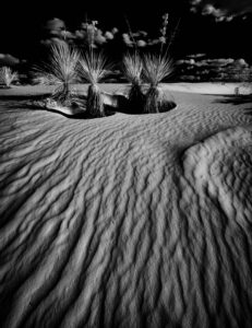White Sands scaled
